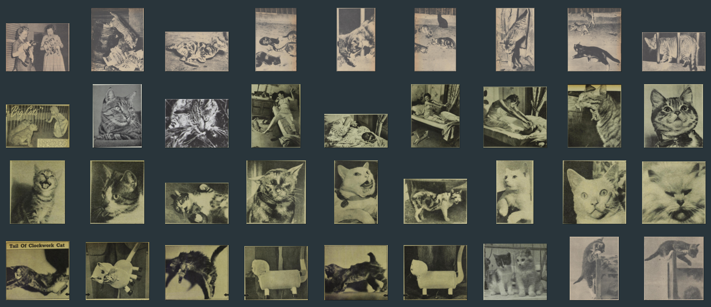 ../../_images/cat-collection.png